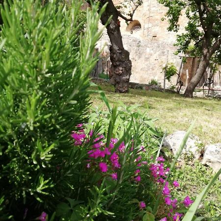 شقة La Casa Del Fotografo كولّي فال ديلسا المظهر الخارجي الصورة